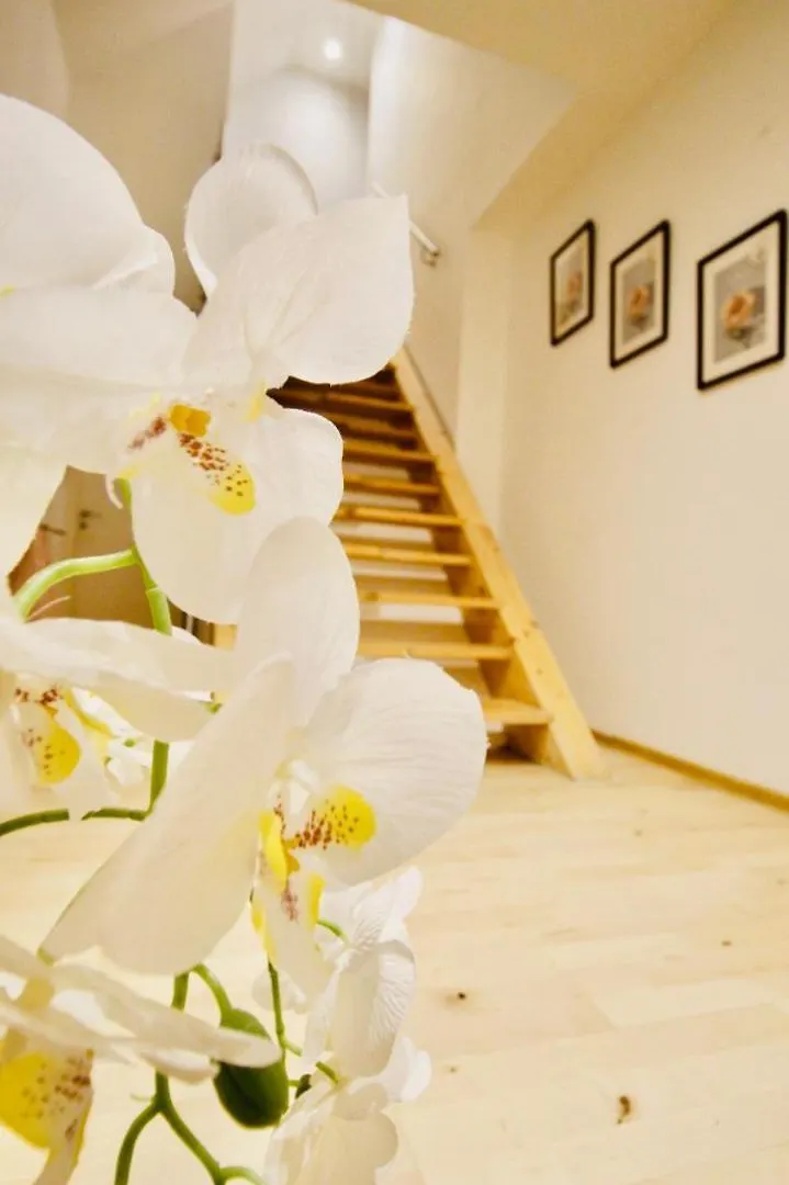 Séjour chez l'habitant Cozy Room In Vienna City Center Dw19