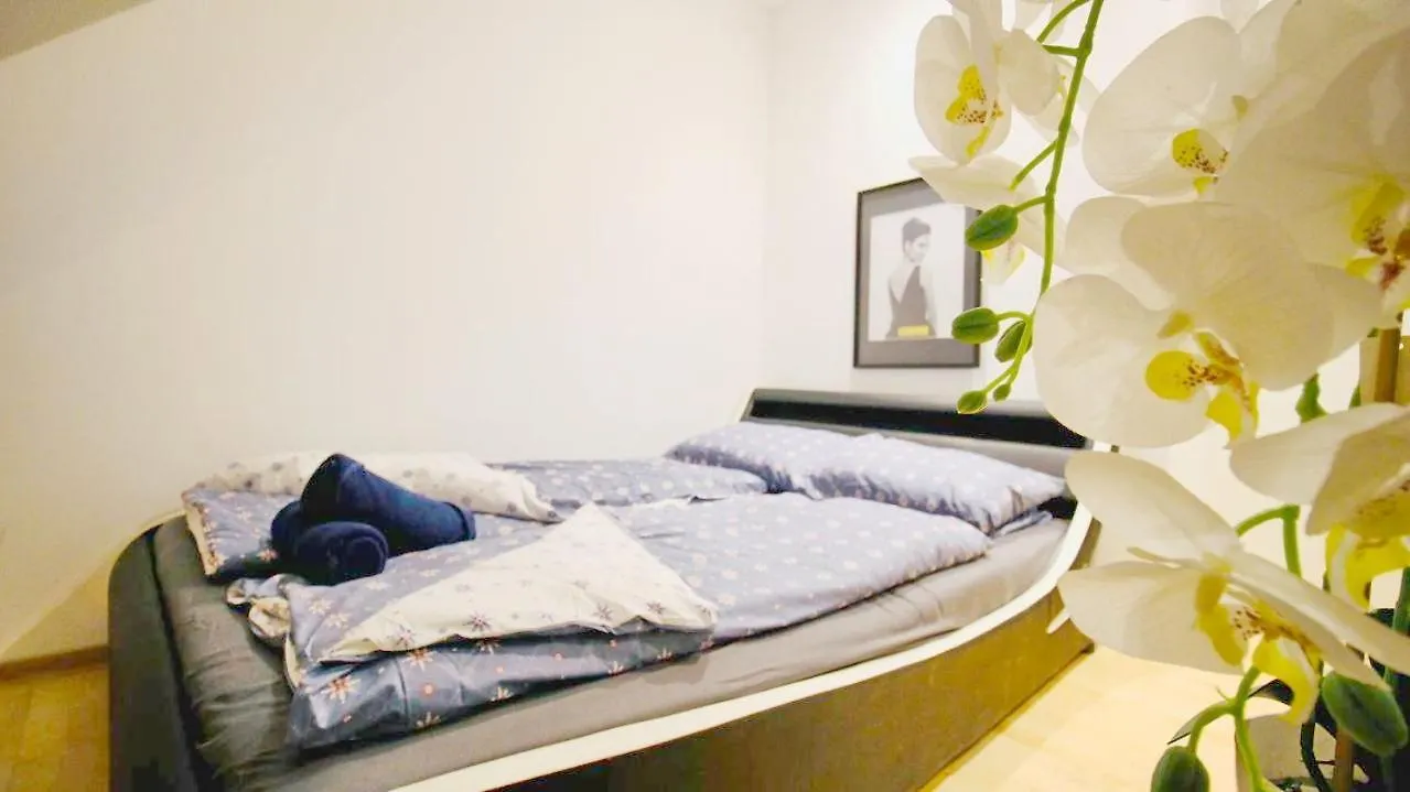 Séjour chez l'habitant Cozy Room In Vienna City Center Dw19