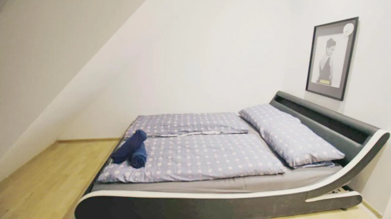 Cozy Room In Vienna City Center Dw19